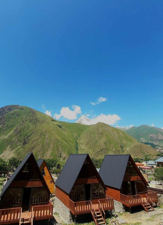 Trip Zone Kazbegi Lejlighed Eksteriør billede
