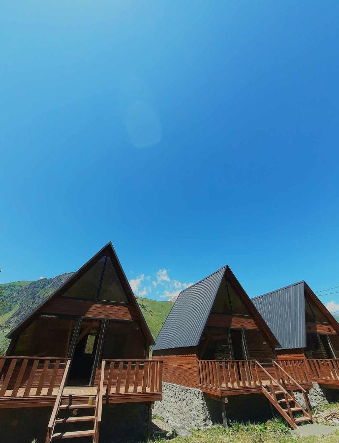 Trip Zone Kazbegi Lejlighed Eksteriør billede