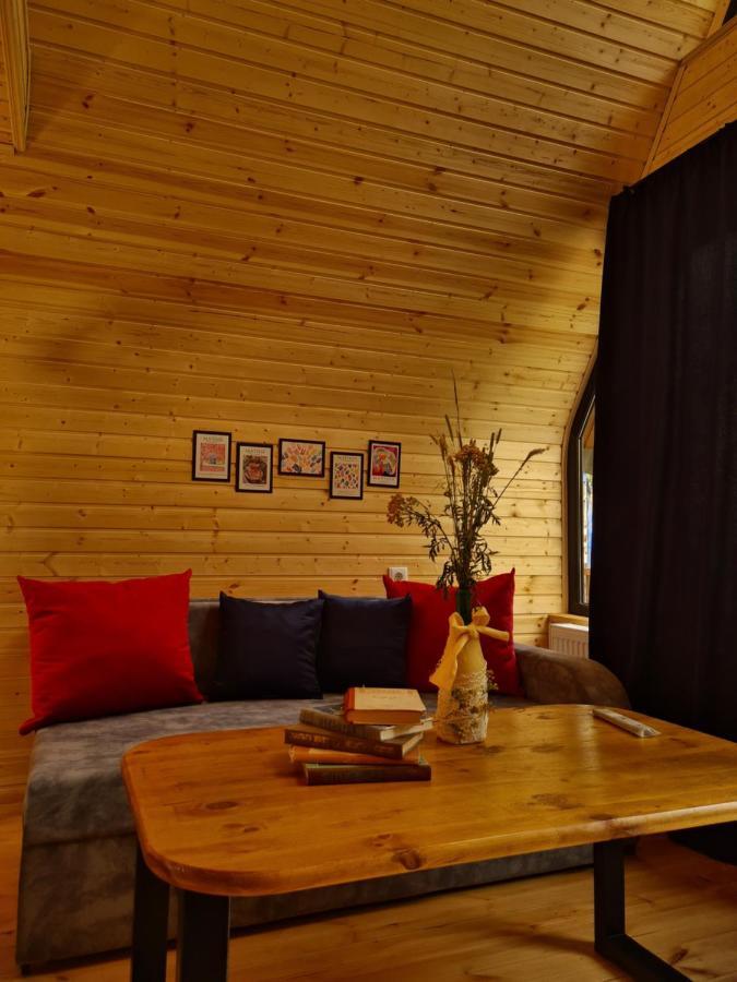 Trip Zone Kazbegi Lejlighed Eksteriør billede